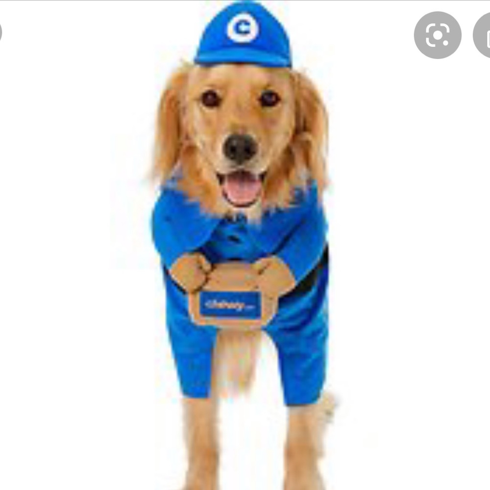 Frisco Chewy box delivery driver costume